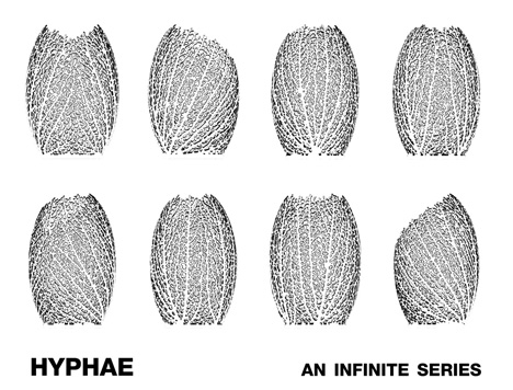 Nervous System - Hyphae